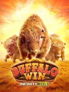 TIGER PLAY88 โปรสล็อตออนไลน์ สมัครรับ 50 เครดิตฟรี buffalo-win